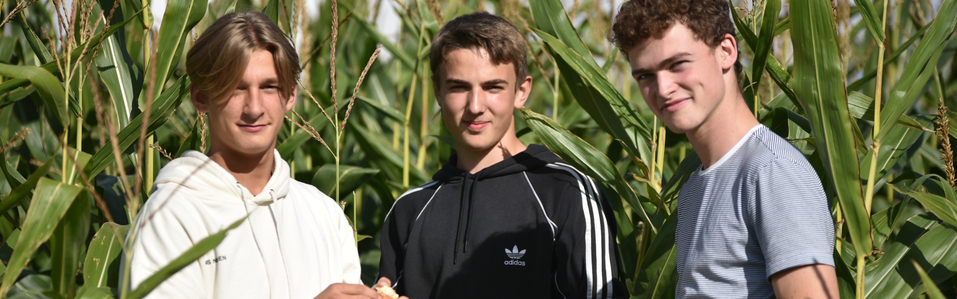 EUX-elever i majsmark